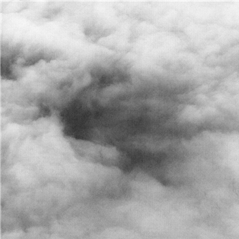 Paul Plehr - F-GKVZ EP [printed sleeve / incl. insert] - Skies