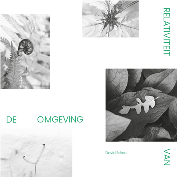 David Edren - Relativiteit Van de Omgeving - Not Not Fun