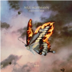 Nils Hoffmann - A Radiant Sign (2 X Transparent LP) - ANJUNADEEP