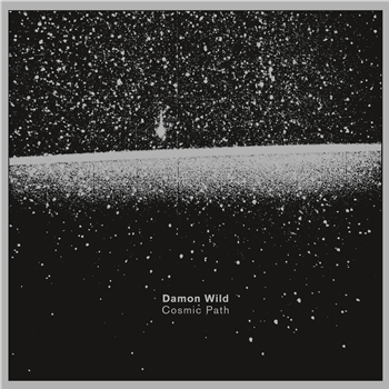 Damon Wild - Cosmic Path (2 X LP) - INFRASTRUCTURE