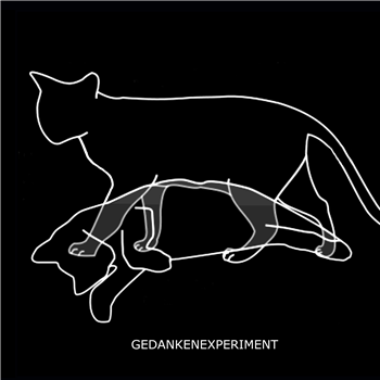 Gedankenexperiment - Experiment Defined - Apnea