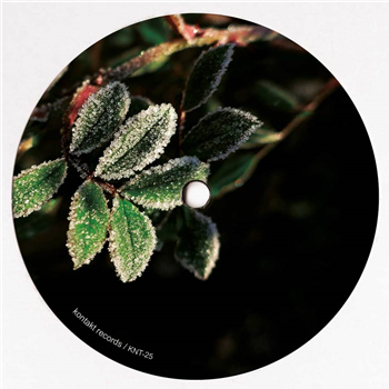 MORPHOLOGY - LAKELAND DUBS (RED CLEAR VINYL) - Kontakt Records