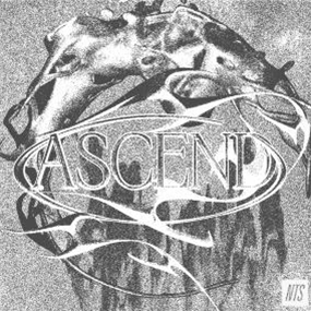 ASCEND - VARIOUS ARTISTS - 2 x 12" - NTS