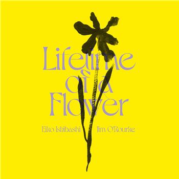 Eiko Ishibashi / Jim ORourke - Lifetime Of A Flower  - Week-End Records
