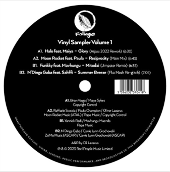 Various Artists - Foliage Records : Vinyl Sampler Volume 1 - REEL PEOPLE MUSIC LTD