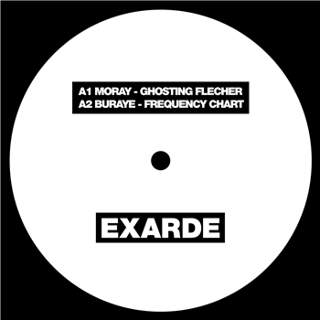 Various Artists - Untitled (2 X 12") - Exarde