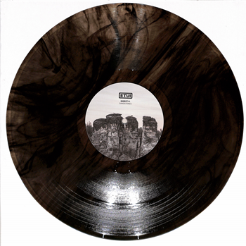 INSECT O. - SANDSTONES (CLEAR BLACK MARBLED VINYL) - Etui Records