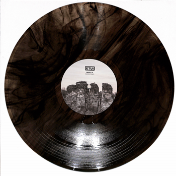 INSECT O. - SANDSTONES (CLEAR BLACK MARBLED VINYL) - Etui Records INSECT O. - SANDSTONES (CLEAR BLACK MARBLED VINYL) - Etui Records