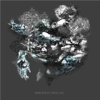 The Valley and the Mountain (TVTM) & Jo Rad Silver - IMMERSION OBSCURA 7" - CENTRAL SCIENTIFIC The Valley and the Mountain (TVTM) & Jo Rad Silver - IMMERSION OBSCURA 7" - CENTRAL SCIENTIFIC