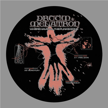 Druum & Melatron - Where Have All The Punks Gone - Libertine Records