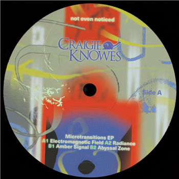 not even noticed - Microtransitions EP - Craigie Knowes