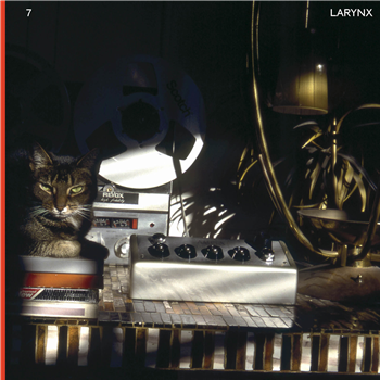 Lary 7 - Larynx (2 X LP) - Blank Forms Editions