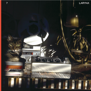 Lary 7 - Larynx (2 X LP) - Blank Forms Editions Lary 7 - Larynx (2 X LP) - Blank Forms Editions