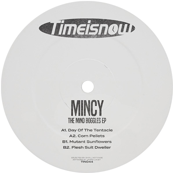 Mincy - The Mind Boggles EP [pink vinyl / label sleeve] - Time Is Now