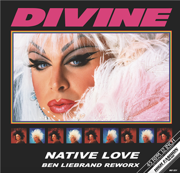 DIVINE - NATIVE LOVE (BEN LIEBRAND REWORX)  - High Fashion Music