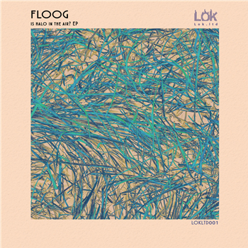 Floog - Is Halo In The Air? EP - Lok Records