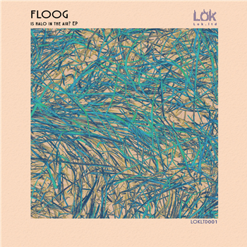 Floog - Is Halo In The Air? EP - Lok Records Floog - Is Halo In The Air? EP - Lok Records