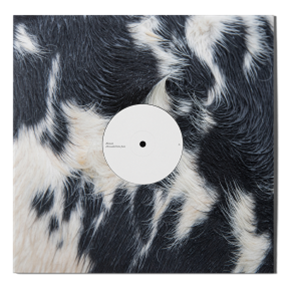 BLAWAN  - XL Recordings