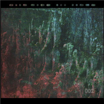 Torc - Positive Disintegration - X/Y/Secret Torc - Positive Disintegration - X/Y/Secret