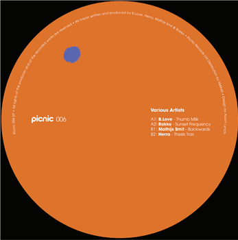Various Artists - PICNIC006 EP - Picnic Records