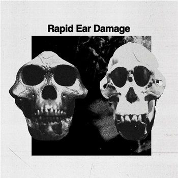 Rapid Ear Damage - R.E.D. - Hga Nord Rekords