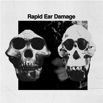 Rapid Ear Damage - R.E.D. - Hga Nord Rekords Rapid Ear Damage - R.E.D. - Hga Nord Rekords