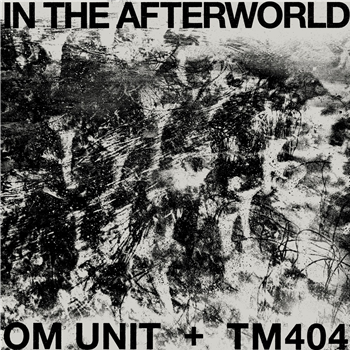 Om Unit + TM404 - In The Afterworld - Acid Test