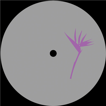 Vid - Last Stop EP - Purple Print