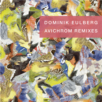 Dominik Eulberg - Avichrom Remixes - !K7 Records