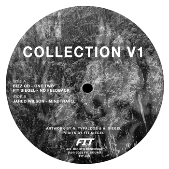 FIT SIEGEL / JARED WILSON / BIZZ OD - COLLECTION V1 - Fit Sound