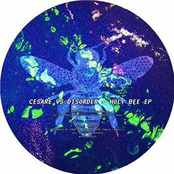 Cesare vs Disorder - Holy Bee EP - Rocket Records