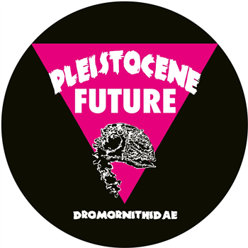 Dario Evangelista - Pleistocene Future 4 - Pleistocene Future