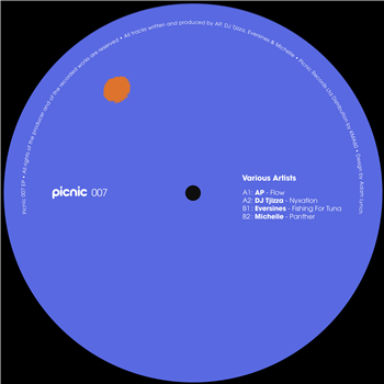 Various Artists - PICNIC007 - Picnic Records