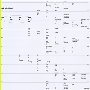 Seb Wildblood - Separation Anxiety (2 X LP) - All My Thoughts