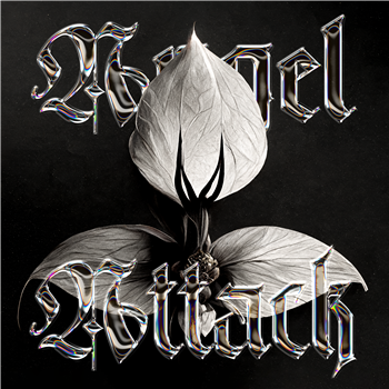 Angel Attack - Divine Practicalities - 2x12" - House Of Reptile Angel Attack - Divine Practicalities - 2x12" - House Of Reptile