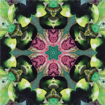 Jon Doppler - The Artifact - Half Grand Records Jon Doppler - The Artifact - Half Grand Records