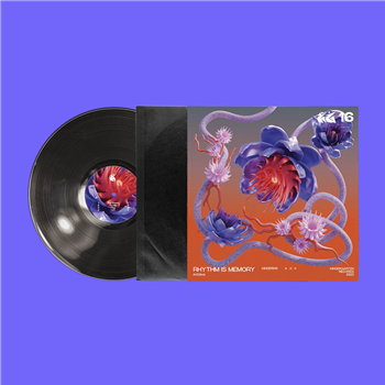 Ayesha - Rhythm is Memory (LP) - Kindergarten Records