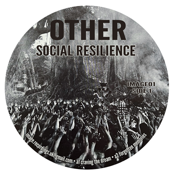 Other - Social Resilience - Image Recordings