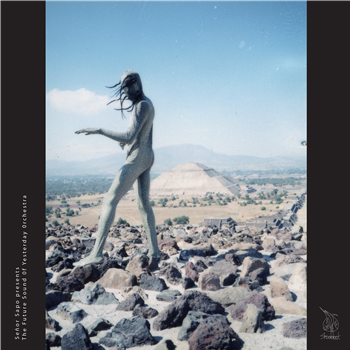 Senor Sapo - The Future Sound Of Yesterday - Shaddock Records Senor Sapo - The Future Sound Of Yesterday - Shaddock Records