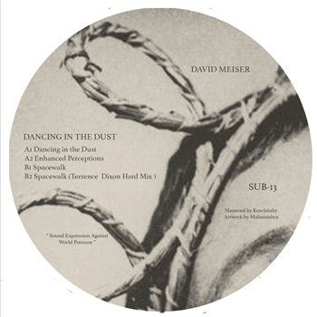 David Meiser - Dancing In The Dust w/ Terrence Dixon Remix EP - SUBSIST RECORDS