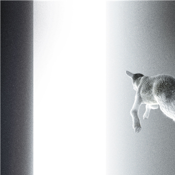 Panoram - Keep Looking Where The Light Comes From (LP) - Running Back Incantations Panoram - Keep Looking Where The Light Comes From (LP) - Running Back Incantations