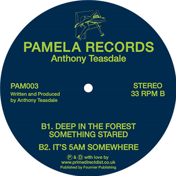 Anthony Teasdale - 003 - Pamela Records