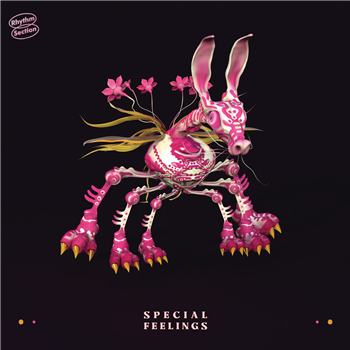 Special Feelings - Special Feelings - Rhythm Sections Intl