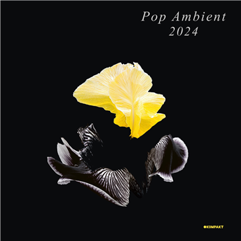 Various Artists - Pop Ambient 2024 - Kompakt