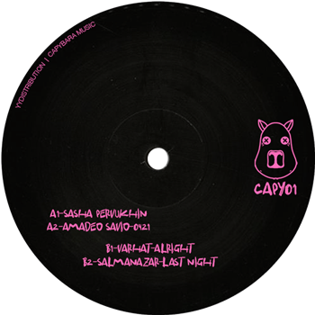Various Artists - CAPY01 - CAPYBARA MUSIC