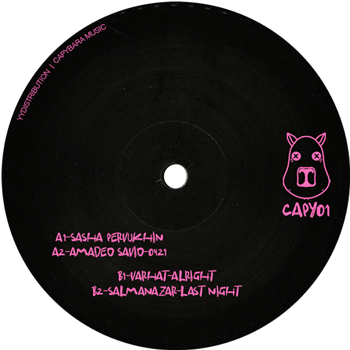 Various Artists - CAPY01 - CAPYBARA MUSIC Various Artists - CAPY01 - CAPYBARA MUSIC