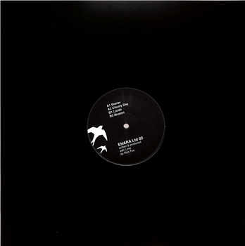 Rick Fox - ENARA LTD 02 (VINYL ONLY) - Enara Ltd