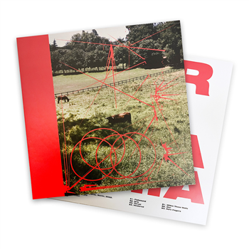 WSR - Dicasmia - Stray Signals WSR - Dicasmia - Stray Signals