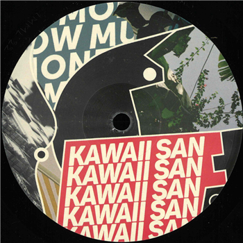 Kawaii San - Covert Operation EP - lowmoneymusiclove