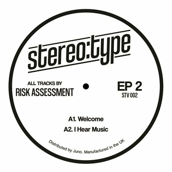 Risk Assessment - Stereo:type EP 2 - Stereo:type